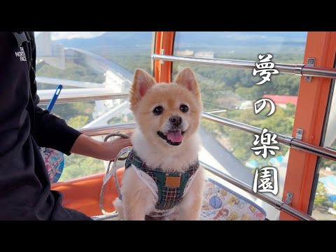 愛犬と一緒に遊べる遊園地＆牧場が楽し過ぎました…笑