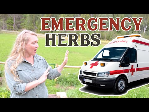 What to do in an EMERGENCY until help arrives!