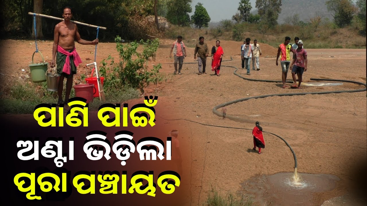 ଶୁଖି ଯାଉଛି ନଦୀ ପୋଖରୀ, ପାଣି ମୁନ୍ଦିଏ ପାଇଁ ସବୁଆଡେ ହାହାକାର || Knews Odisha
