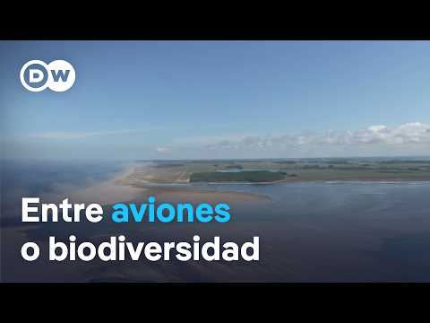 <strong>En</strong> Uruguay, un aeropuerto <strong>en</strong> áreas protegidas reabre el debate entre turismo y conservación