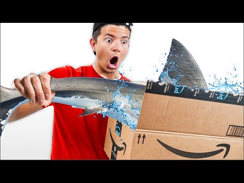 Amazon Items That Should NOT Be Sold!