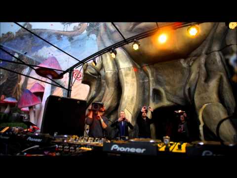 A day in the life of a Tomorrowland mainstage... (HD) - UCsN8M73DMWa8SPp5o_0IAQQ