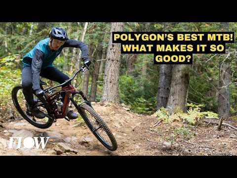 Polygon Collosus T8 Review | The best all round MTB Polygon has produced