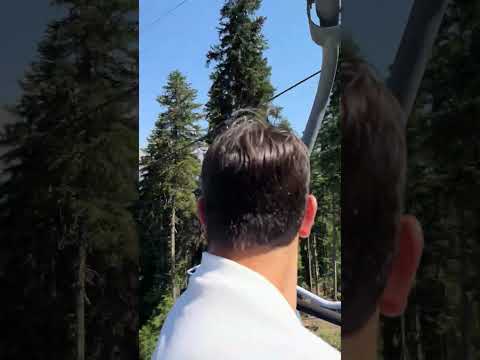 Clever Mountain Dog Rides Cable Car Alone Up Hatzval Mountain