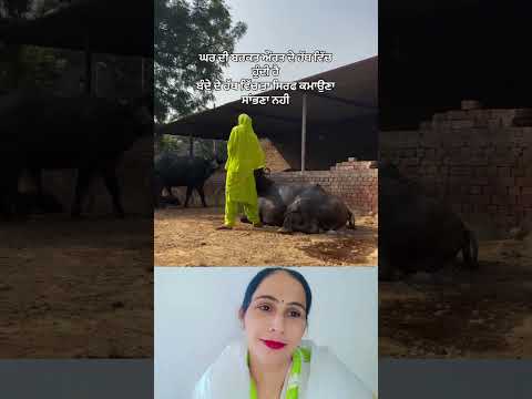 ਘਰ ਦੀ ਬਰਕਤ ਔਰਤ ਦੇ ਹੱਥ ਵਿੱਚ ਹੁੰਦੀ ਹੈ 💞 #punjabisong #love #song #trending #shorts #shortsfeed