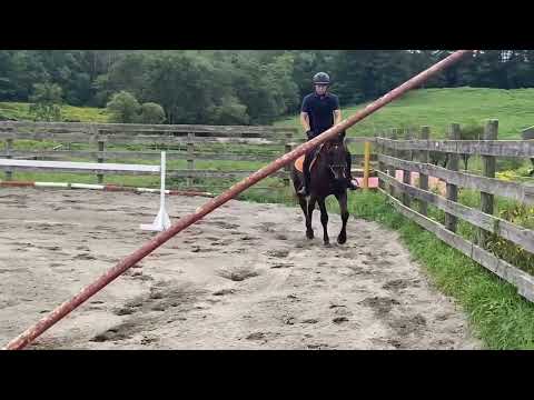 売約済*2才セン馬ジンクス 2025/08