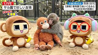 動画サムネイル