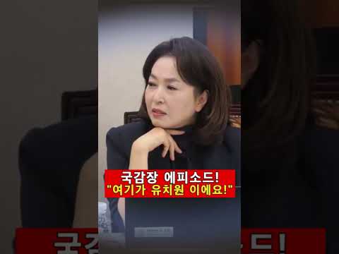 국감장 <strong>에피소드</strong> "여기가 유치원 이에요?" #서영교#김민전