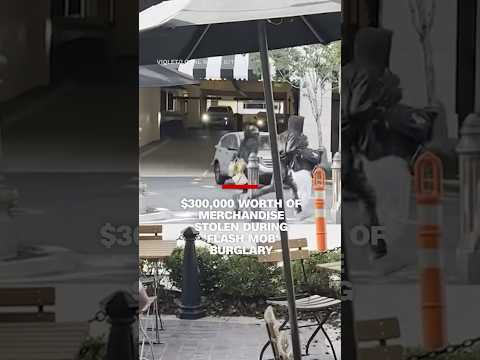 $300,000 worth of merchandise stolen during 'flash mob' burglary