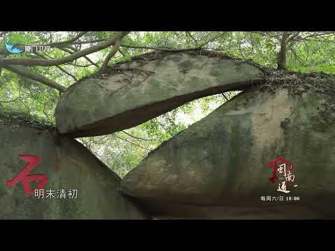 猫の動画サムネイル - 【閩南通】廈門植物園「石笑」石刻丨廈門衛視閩南通