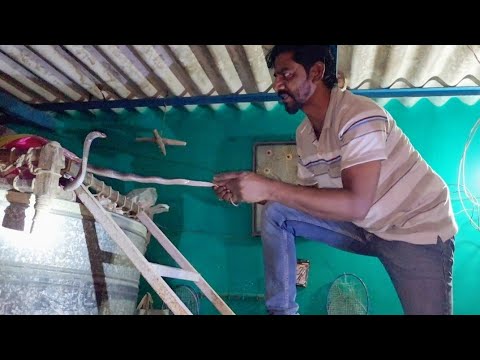 "गहरी रात में कोबरा सांप का रोमांचक रेस्क्यू | देखें लोगों का रिएक्शन!"