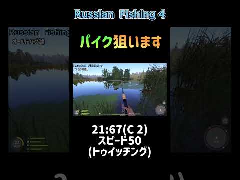 Russian Fishing4 old burg (pike spot)