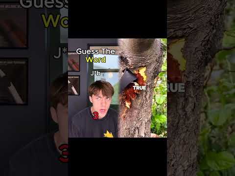 Can you guess the word?#skit #edit #meme #guess #game