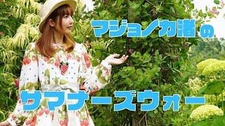 【サマナーズウォー】バーレイグさんを作る旅