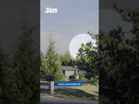 Watch <strong>plane</strong> nosedive into Lake Stevens backyard