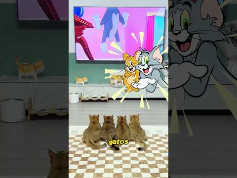 Me gusta el gtito de jerry.#pets #cat #cute