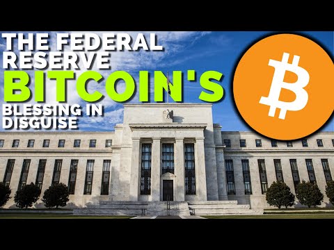 Bitcoin's Best Friend: The US Federal Reserve
