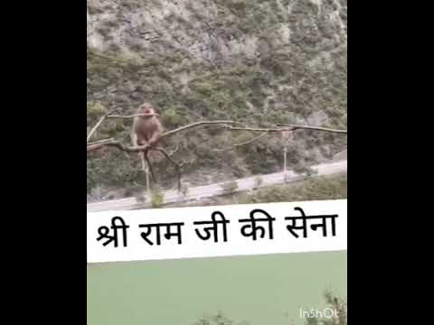 Ram ji ki sena chali #viral #song #hanumanji #monkey #jaishreeram #ram #shortsviral #shorts