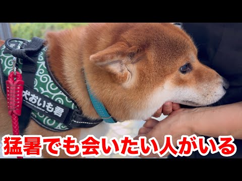 【猛暑のお出迎え】新聞屋さんには会いたいんです