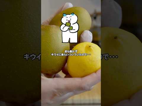 キウイって皮食べれるんだっけ？ #家族の時間 #キウイ #手作りおやつ #キウイゼリー