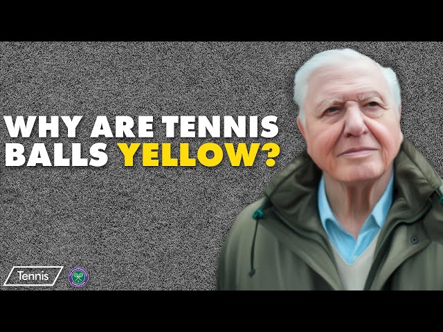 Why Are Tennis Balls Yellow? The Answer May Surprise You!