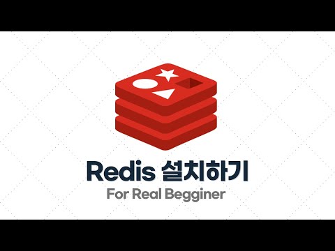 Redis 입문·실전 - 2.1. 로컬(Windows, MacOS)에서 Redis 설치하기