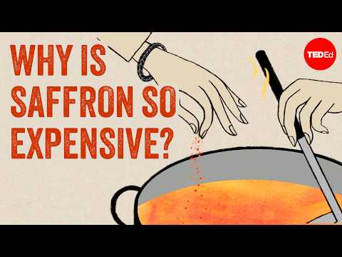 Why is saffron so expensive? - Carolyn Beans
