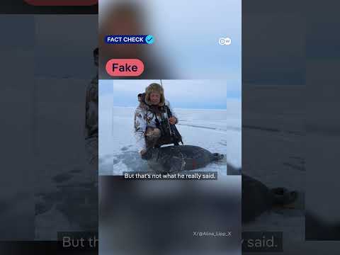 Fact check: Polar Bear Hoax - How a fake site framed Merz in viral clip | DW News