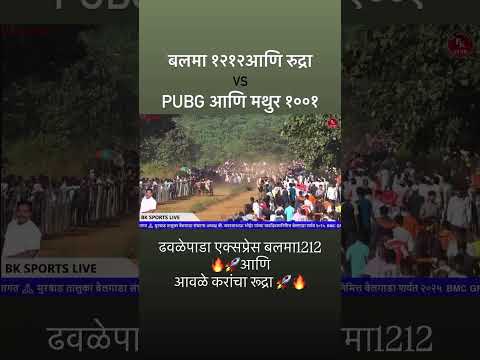 | ☠️बलमा 1212 & रुद्रा 🆚 PUB-G | ⚔️मथुर 1001 🔥 #bailgada #bailgadasharyat