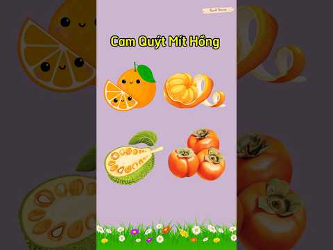 Bài đồng dao: “CÁC LOẠI QUẢ” || Bài đồng dao hay cho trẻ mầm non || Bài đồng dao cho trẻ 3 tuổi