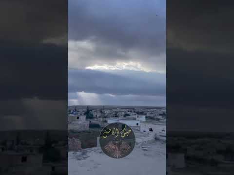 طالت عنها غيبتنا 💚🌸 #حيش_الاصل