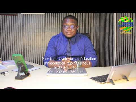 La Domiciliation des déclarations d'importation