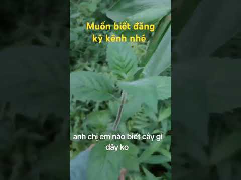 #mọi thứ quanh bạn đều có thể dùng được