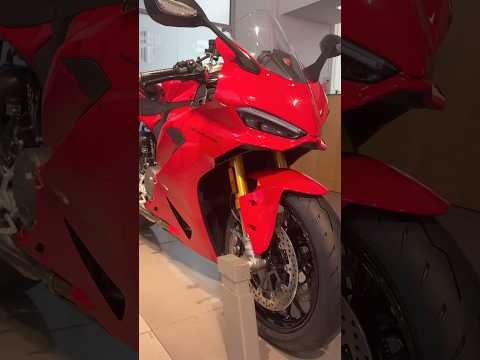 Panigale V2 point of view