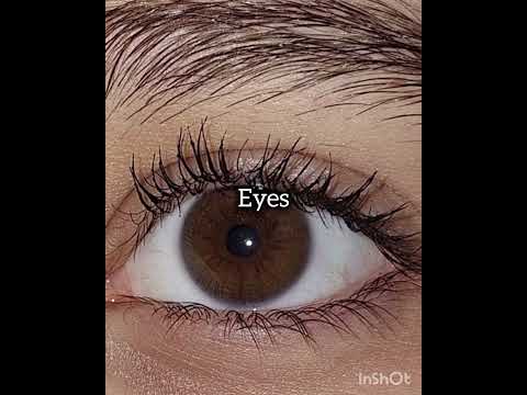 which one next?? #ytshorts #editzz #animegif #letter e#eyes closed #fyonew #twinkleberries