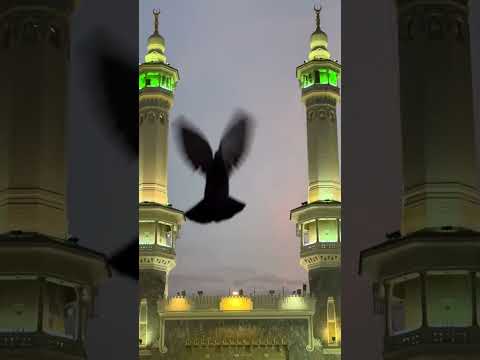 Jumma Mubarak #viral #ytviral #shortfeed #ytshorts #feedshorts #yt #shortvideo