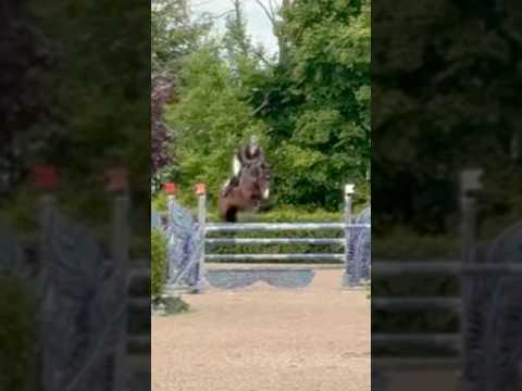 🆙🔝in today’s 1.35 open speed