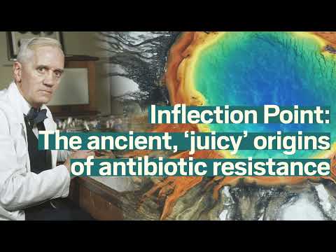 The ancient, ‘juicy’ origins of antibiotic resistance