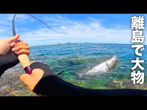 【離島ウェーディング】竿ブチ曲がり!深場の海に潜む大物がHITして浅瀬で暴れる!!