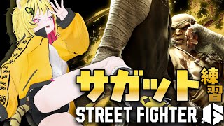 【 スト6 】虎キャラが実装されたらしいトラじゃん？？？【あおぎり高校/うる虎がーる】