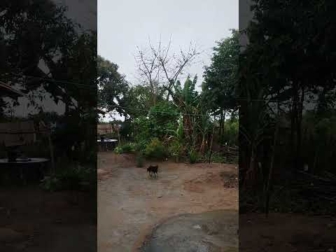 Deus abençoe sua tarde! #mensagem #jesus #fe #bomdiaamor #gratidão #mensagensdivinas #motivacional