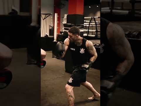 image para ilustrar o artigo