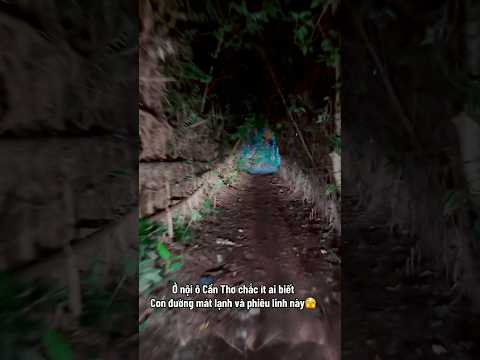 Con đường mát lạnh và phiêu linh🫣