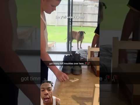 His dog wanted to step in💀