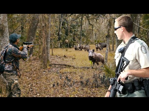 Nos Cayo la Guardia Cazando Puercos 