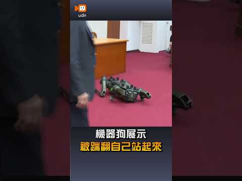 【要聞】機器狗展示 被踹翻自己站起來