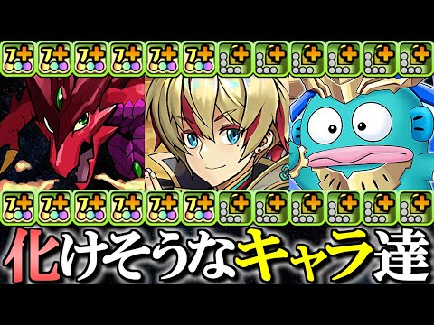 【大化けの可能性】7強+とL字+が遂に登場!!既存キャラも何体か大幅強化されるかも!?特に期待出来るキャラを探してみました!!【パズドラ】