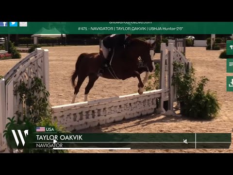 Navigator 🧑‍✈️ & Taylor Oakvik USHJA Hunter 2’6” 🥇ESP October 2025