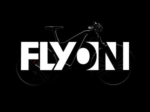 FLYON: Haibike ePerformance System