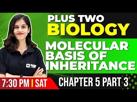Plus Two Biology | Molecular Basis of Inheritance | Chapter 5 Part 3 | Exam Winner